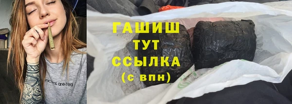 гашик Карпинск