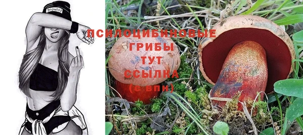 героин Белокуриха