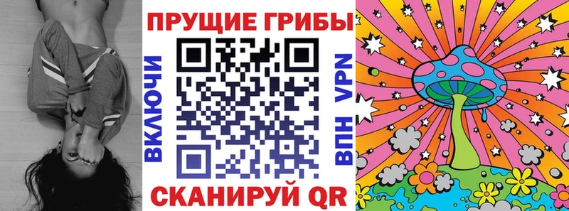 omg вход  Вельск  Галлюциногенные грибы GOLDEN TEACHER 